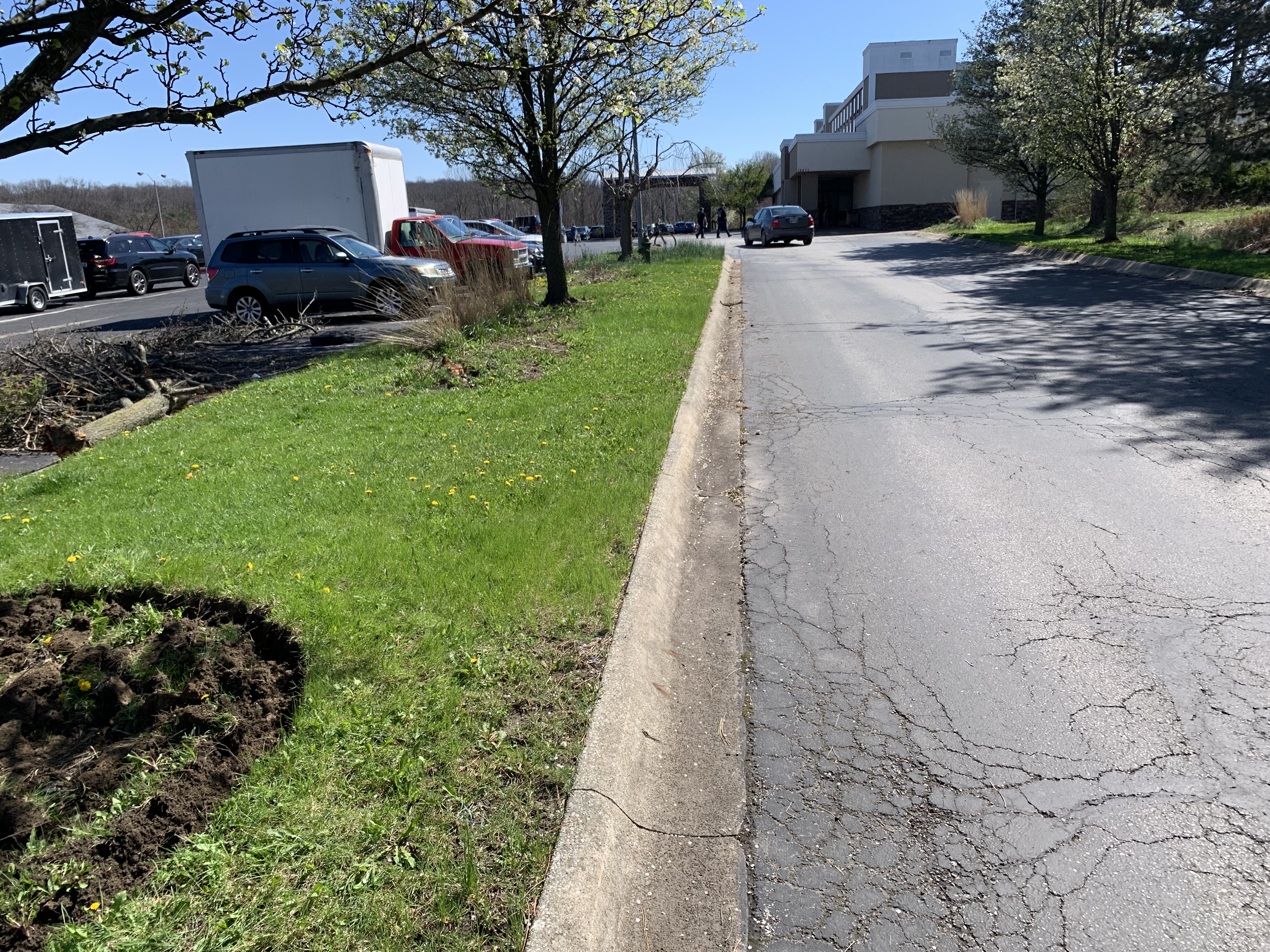 Before professional landscaping service in Cleveland Area Ohio